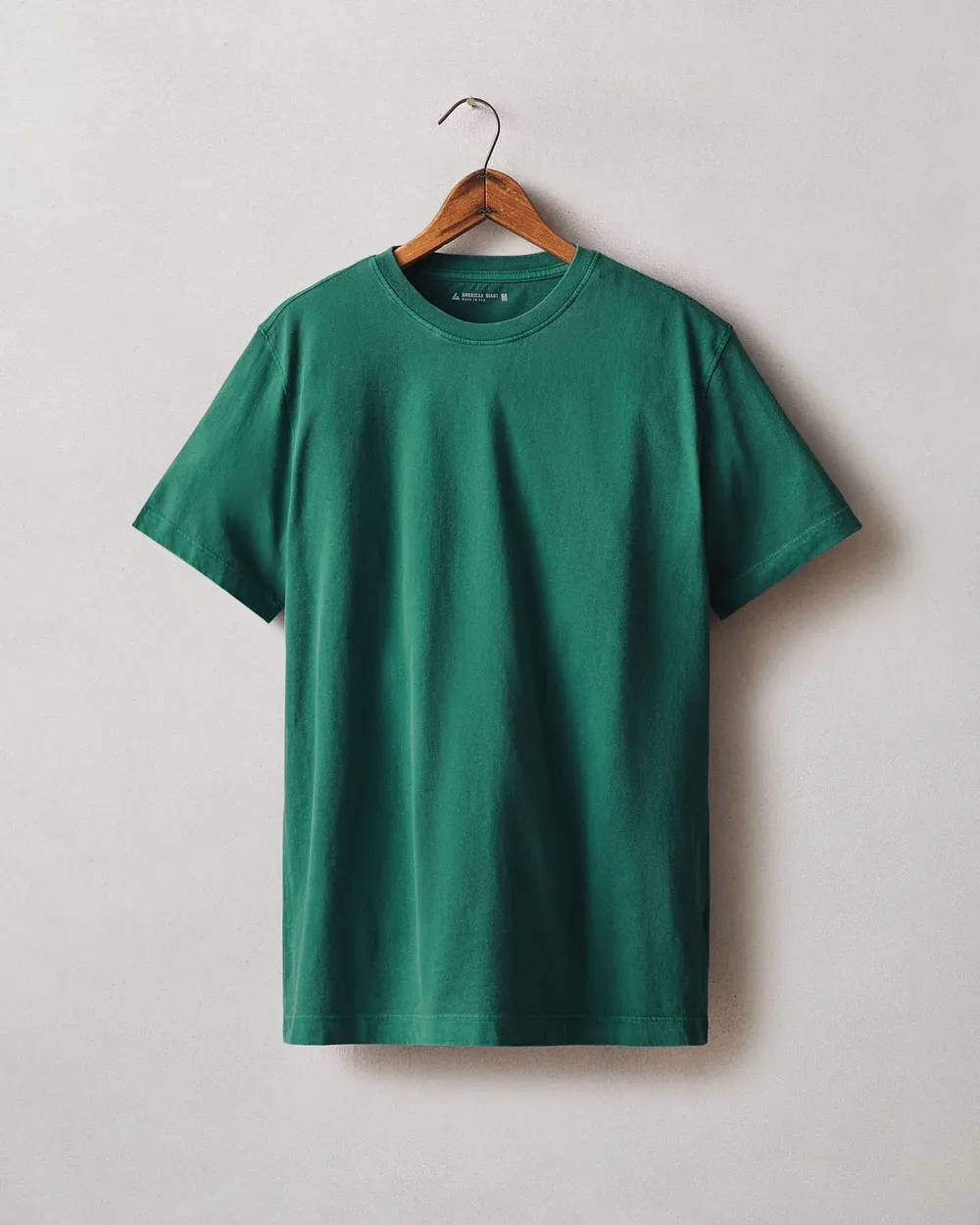 Men's Golden State Tee - Forest Biome from American Giant